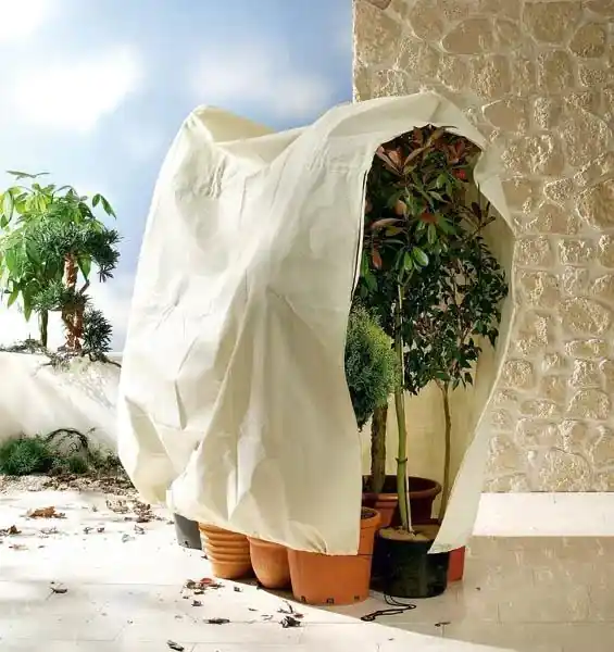 Geprüft Jumbo Kübelpflanzen Sack, 240 x 200 cm - Schutz im Winter bei Frost